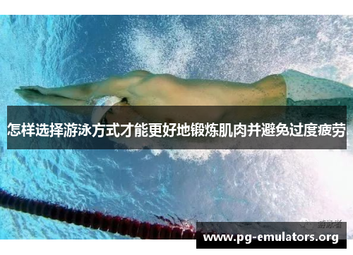 怎样选择游泳方式才能更好地锻炼肌肉并避免过度疲劳